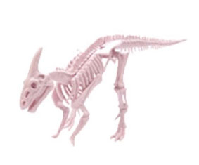 Kostra dinosaura - Parasaurolophus