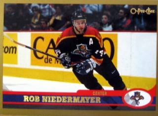 Rob Niedermayer